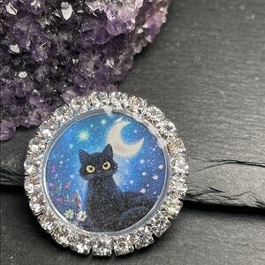 Feline Familiar Collection Sparkling Black Cat Night Sky Pin